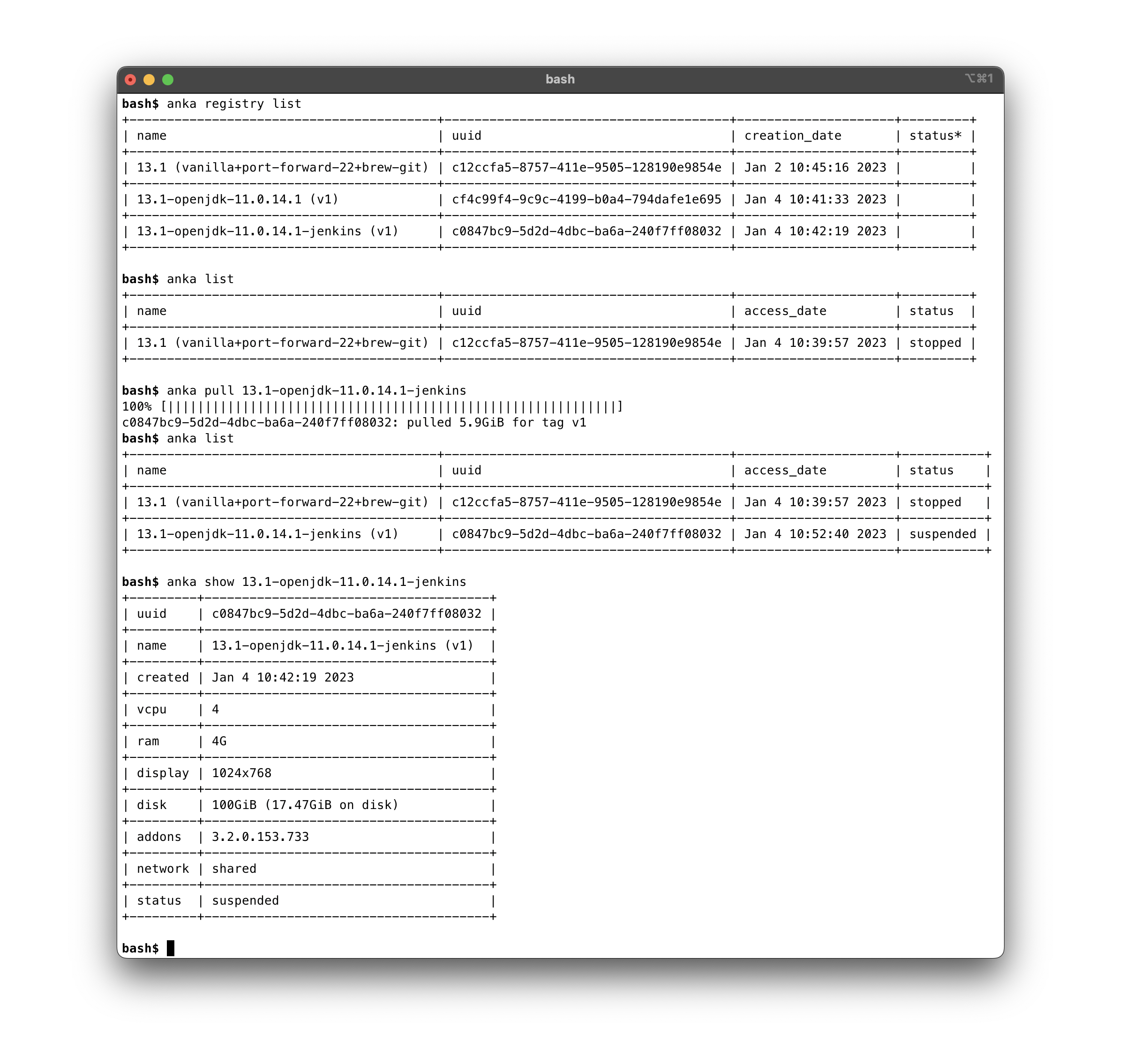 Anka Registry pull and show VM